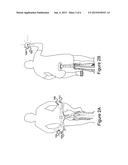 Switch Mechanisms for Wearable Articles diagram and image