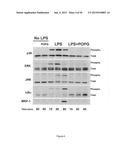 Surfactant Lipids, Compositions Thereof, and Uses Thereof diagram and image