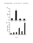 Surfactant Lipids, Compositions Thereof, and Uses Thereof diagram and image