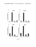 Surfactant Lipids, Compositions Thereof, and Uses Thereof diagram and image