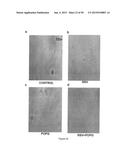 Surfactant Lipids, Compositions Thereof, and Uses Thereof diagram and image