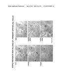 Surfactant Lipids, Compositions Thereof, and Uses Thereof diagram and image