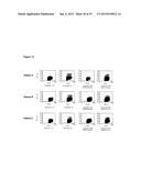 CEACAM1 MEDIATED PROTECTIVE IMMUNITY diagram and image