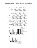 CEACAM1 MEDIATED PROTECTIVE IMMUNITY diagram and image