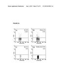 CEACAM1 MEDIATED PROTECTIVE IMMUNITY diagram and image