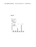 CEACAM1 MEDIATED PROTECTIVE IMMUNITY diagram and image