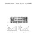 Method for treating or preventing heart diseases diagram and image