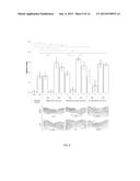 COMPOSITIONS COMPRISING COCKTAILS OF ANTIBACTERIAL PHAGES AND USES THEREOF     FOR THE TREATMENT OF BACTERIAL INFECTIONS diagram and image