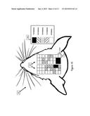 Device and Methods for Targeting of Transcranial Ultrasound     Neuromodulation by Automated Transcranial Doppler Imaging diagram and image