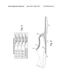 FRICTION-ATTACHED AQUATIC ACCESSORY diagram and image