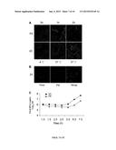 Peptides Having Activity of Inhibiting Infections of Respiratory Viruses     and Use of the Same diagram and image