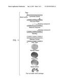 LIQUID COMPRESSION MODLING ENCAPSULANTS diagram and image