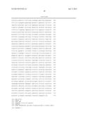 TREATMENT OF METHIONINE SULFOXIDE REDUCTASE A (MSRA) RELATED DISEASES BY     INHIBITION OF NATURAL ANTISENSE TRANSCRIPT TO MSRA diagram and image