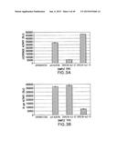 METHODS AND COMPOSITIONS FOR SEAMLESS CLONING OF NUCLEIC ACID MOLECULES diagram and image