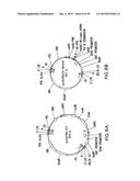 METHODS AND COMPOSITIONS FOR SEAMLESS CLONING OF NUCLEIC ACID MOLECULES diagram and image