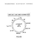 METHODS AND COMPOSITIONS FOR SEAMLESS CLONING OF NUCLEIC ACID MOLECULES diagram and image