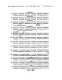 METHODS AND COMPOSITIONS FOR SEAMLESS CLONING OF NUCLEIC ACID MOLECULES diagram and image