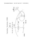 METHODS AND COMPOSITIONS FOR SEAMLESS CLONING OF NUCLEIC ACID MOLECULES diagram and image