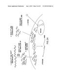 METHODS AND COMPOSITIONS FOR SEAMLESS CLONING OF NUCLEIC ACID MOLECULES diagram and image