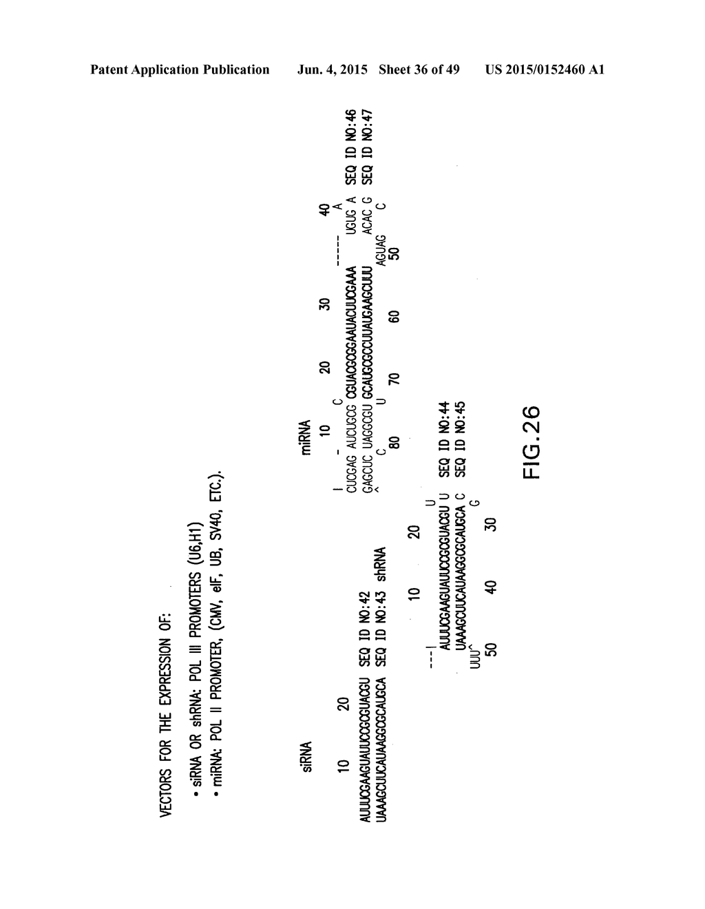 METHODS AND COMPOSITIONS FOR SEAMLESS CLONING OF NUCLEIC ACID MOLECULES - diagram, schematic, and image 37