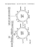 METHODS AND COMPOSITIONS FOR SEAMLESS CLONING OF NUCLEIC ACID MOLECULES diagram and image