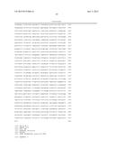 METHODS AND COMPOSITIONS FOR SEAMLESS CLONING OF NUCLEIC ACID MOLECULES diagram and image