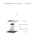 SYSTEM FOR RAPID ELECTROPHORESIS BINDING METHOD AND RELATED KITS AND     COMPOSITIONS diagram and image