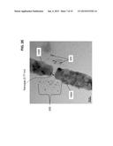 MANUFACTURABLE SUB-3 NANOMETER PALLADIUM GAP DEVICES FOR FIXED ELECTRODE     TUNNELING RECOGNITION diagram and image