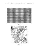 Method for Quantifying Immune Cells in Tumoral Tissues and its     Applications diagram and image