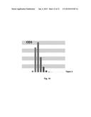 Method for Quantifying Immune Cells in Tumoral Tissues and its     Applications diagram and image