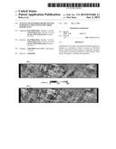 SYSTEM AND METHOD FOR IDENTIFYING SUBSURFACE DISCONTINUITIES FROM SEISMIC     DATA diagram and image