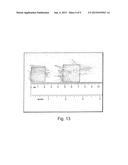 REVERSAL TOLERANT MEMBRANE ELECTRODE ASSEMBLY FOR A FUEL CELL diagram and image