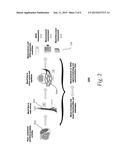 Analysis and Characterization of Patient Signals diagram and image