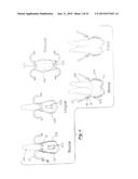 TOOTH POSITIONING APPLIANCE WITH CURVED INTERCONNECTING ELEMENTS diagram and image