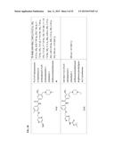 TYPE II RAF KINASE INHIBITORS diagram and image