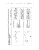 TYPE II RAF KINASE INHIBITORS diagram and image