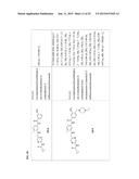 TYPE II RAF KINASE INHIBITORS diagram and image