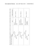 TYPE II RAF KINASE INHIBITORS diagram and image