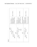 TYPE II RAF KINASE INHIBITORS diagram and image