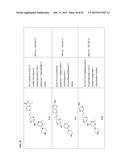 TYPE II RAF KINASE INHIBITORS diagram and image