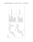 TYPE II RAF KINASE INHIBITORS diagram and image