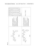 TYPE II RAF KINASE INHIBITORS diagram and image