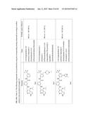 TYPE II RAF KINASE INHIBITORS diagram and image