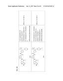 TYPE II RAF KINASE INHIBITORS diagram and image