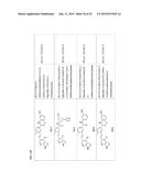 TYPE II RAF KINASE INHIBITORS diagram and image