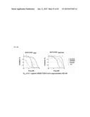 TYPE II RAF KINASE INHIBITORS diagram and image