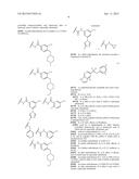 TYPE II RAF KINASE INHIBITORS diagram and image