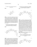 TYPE II RAF KINASE INHIBITORS diagram and image