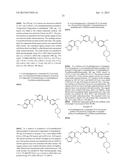 TYPE II RAF KINASE INHIBITORS diagram and image