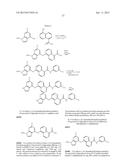 TYPE II RAF KINASE INHIBITORS diagram and image